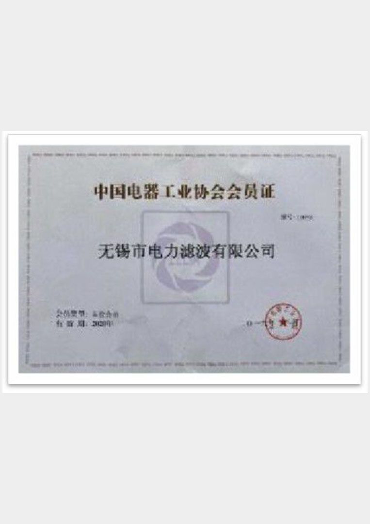 Became a member of the China Electrical Appliances Industry Association in 2019